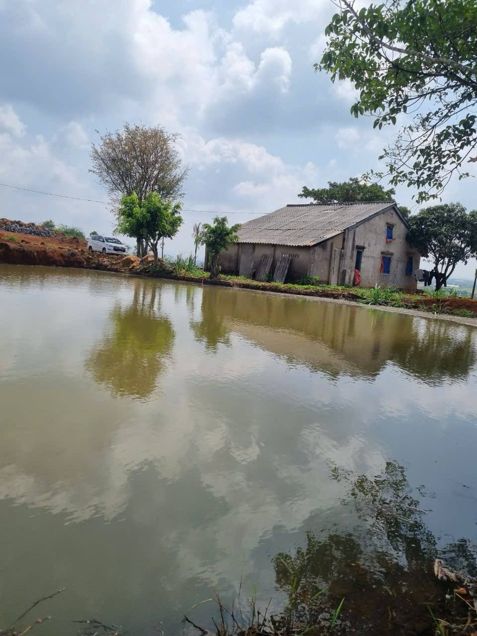 SIÊU PHẨM VIEW ĐỒI - SĂN MÂY – CÓ NHÀ – HỒ CÁ – THÁC NƯỚC - Ảnh chính